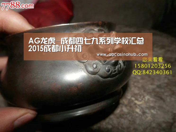 AG龙虎-成都四七九系列学校汇总 2015成都小升初(图4) AG轮盘