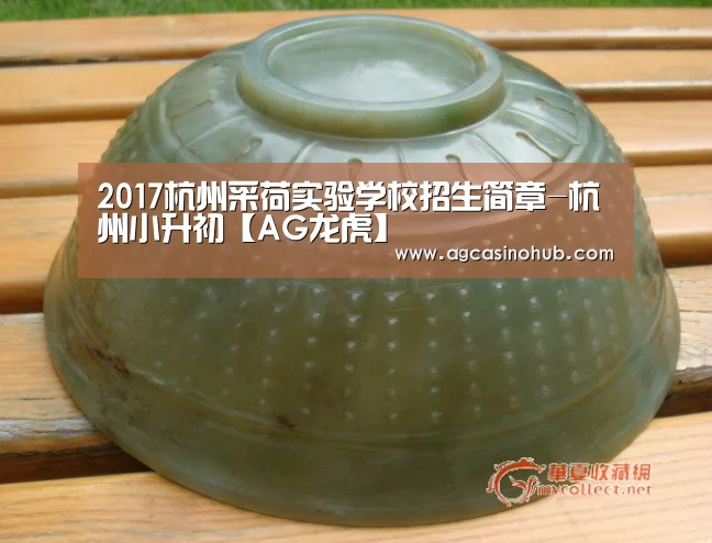 2017杭州采荷实验学校招生简章-杭州小升初【AG龙虎】(图1) AG轮盘