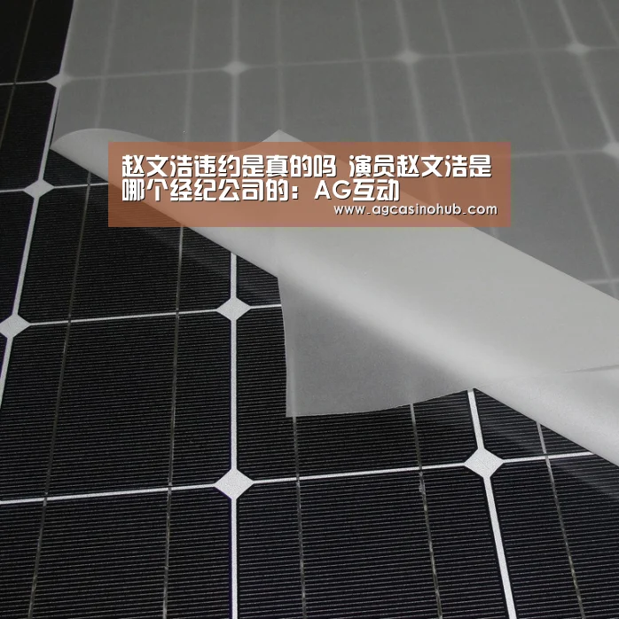 赵文浩违约是真的吗 演员赵文浩是哪个经纪公司的:AG互动(图2) AG轮盘