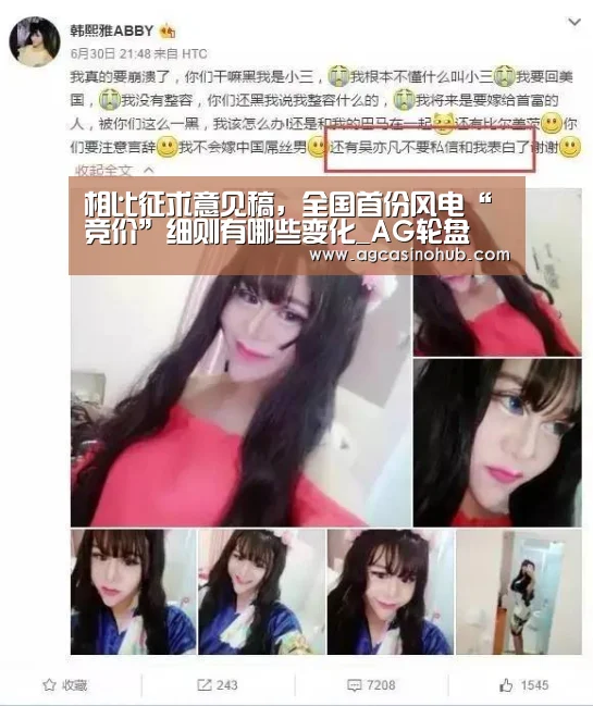 相比征求意见稿,全国首份风电“竞价”细则有哪些变化_AG轮盘(图1) AG互动