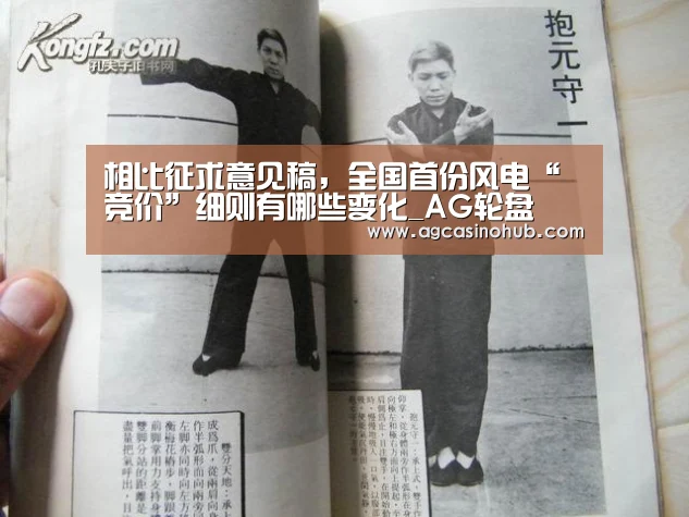 相比征求意见稿,全国首份风电“竞价”细则有哪些变化_AG轮盘(图4) AG互动