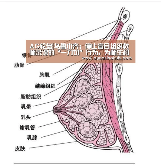 AG轮盘|乌鲁木齐:停止盲目组织教师录课的“一刀切”行为,为师生和家长“减负”(图1) AG龙虎